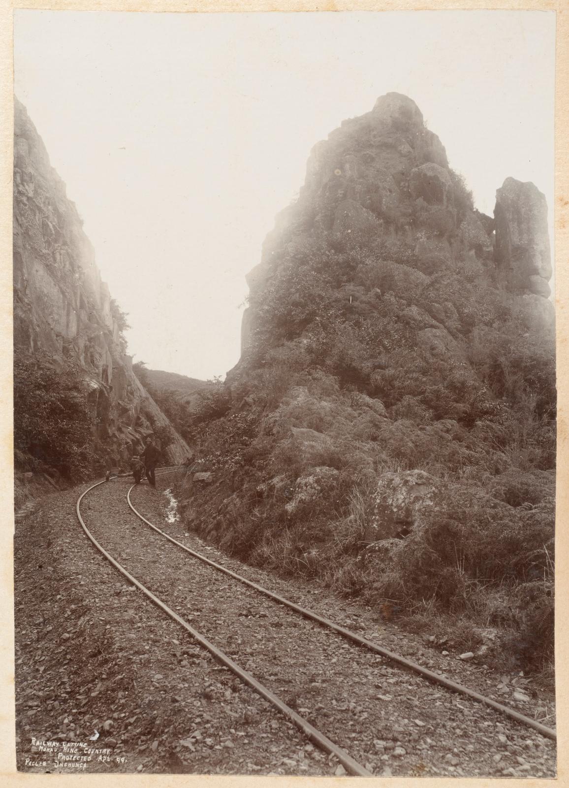Railway cutting, Mokau, King Country