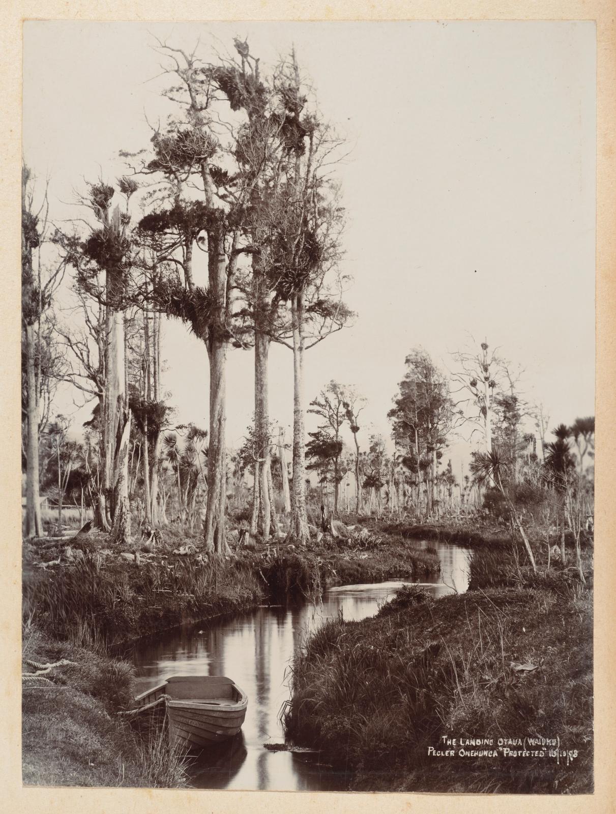The Landing, Otaua, Waiuku