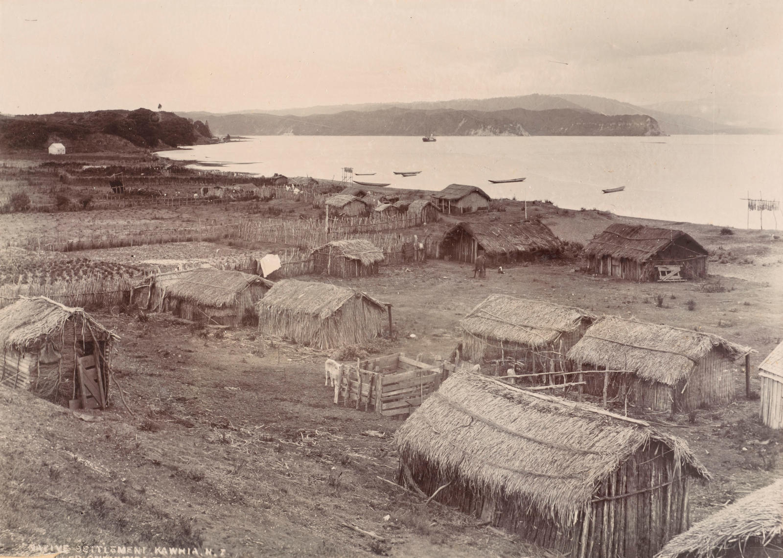 Native settlement, Kawhia