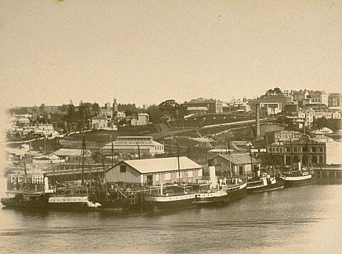 (Auckland waterfront 2)