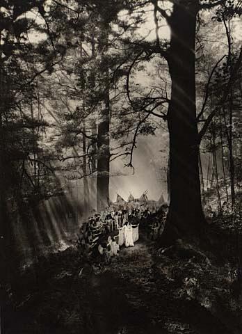 A Forest vision