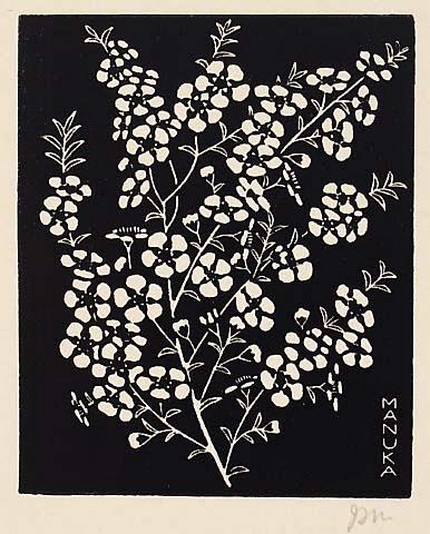 Manuka
