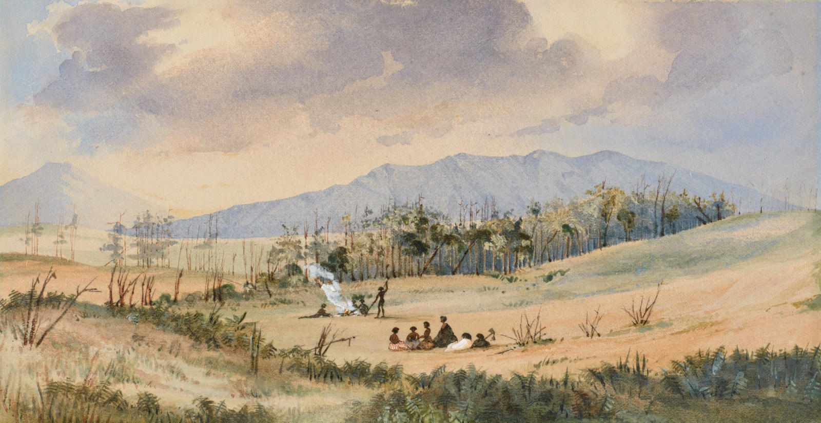Kakepuku and Maungatautari, Waikato