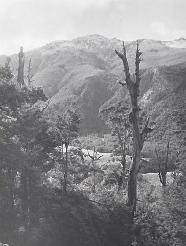 Elise Peak, Raglan Range, near the ACC House