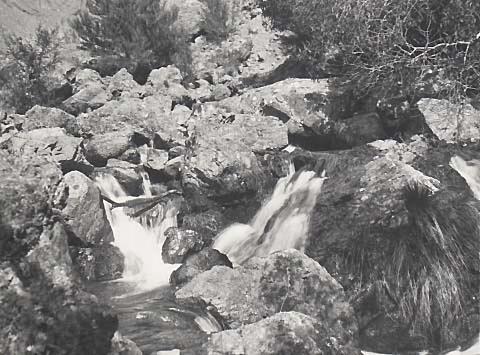 Untitled #6