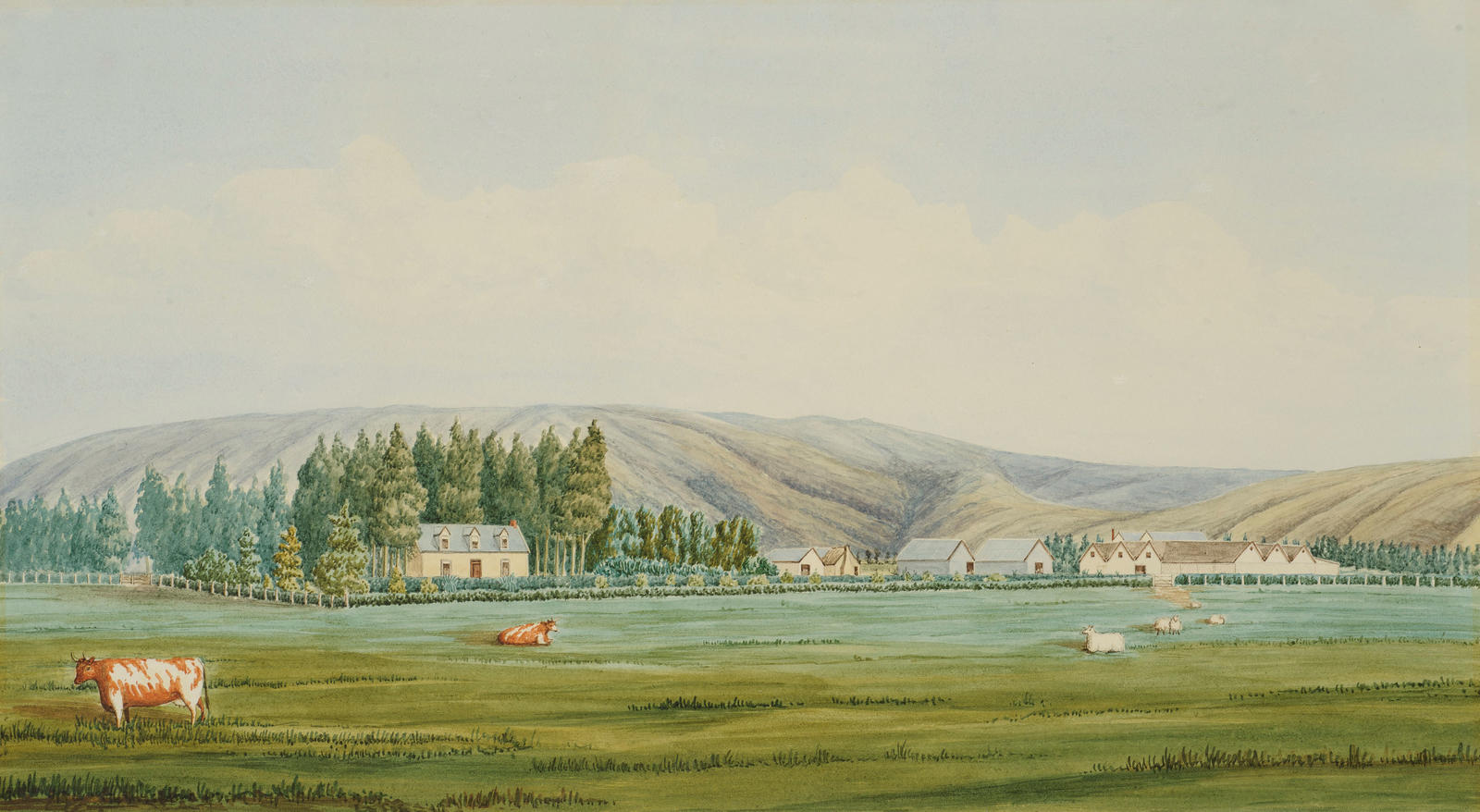 Tapanui Homestead