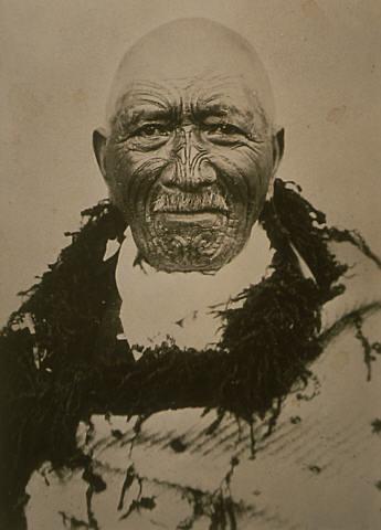 Patara Te Tuhi, Maori Chief