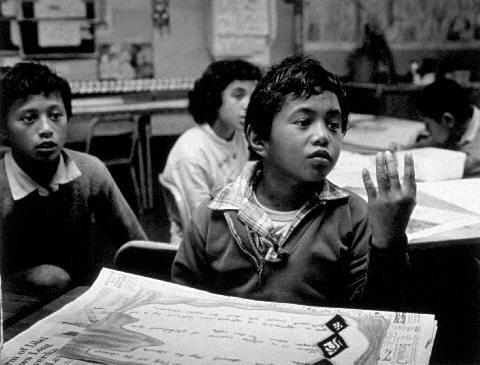 Tawera School, Bay of Plenty, 1984