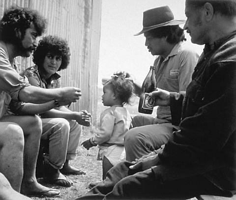 Opape, Bay of Plenty, 1982
