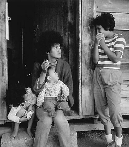 Mokai, near Wairakei, 1984