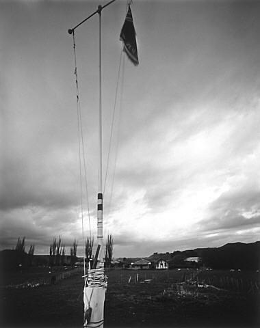 Kai Iwi
