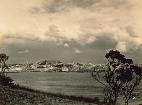 Auckland from Stanley Point