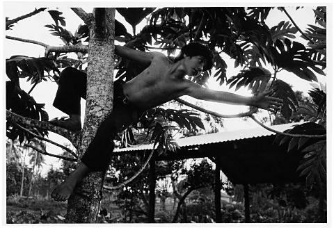 Tonga 1978