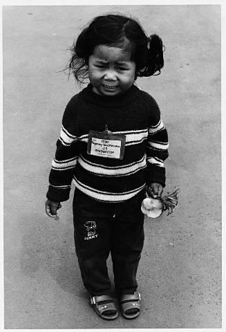 Mangere 1982