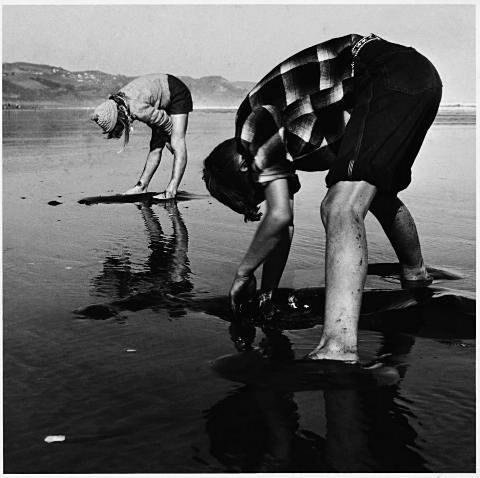 Muriwai 1965