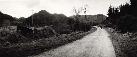 The Wanganui River Road (near Atene/Athens)