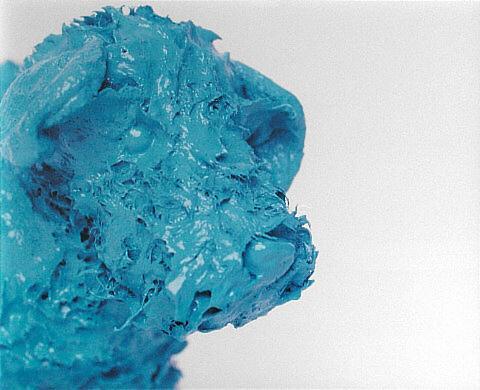 Blue Dog Head I