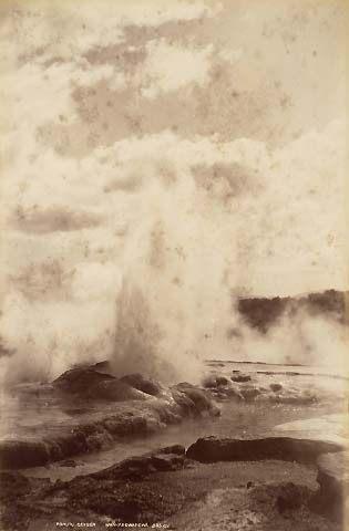 Pohutu Geyser, Whakarewarewa