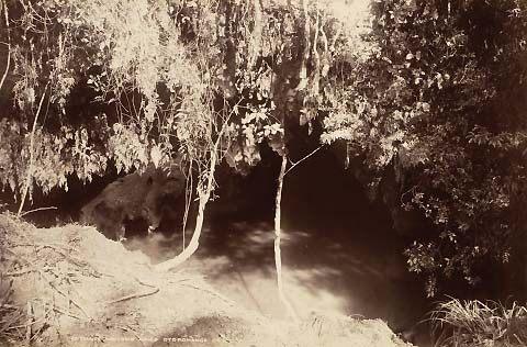 Entrance to Waitomo Caves, Otorohanga