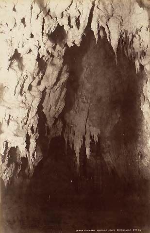 Lower chamber, Waitomo Caves, Otorohanga
