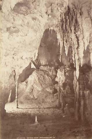 Stalactites, Waitomo Caves, Otorohanga