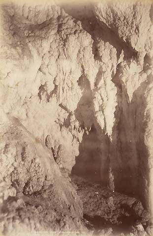In the Waitomo Caves, Otorohanga