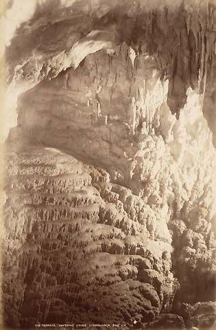 The Terrace, Waitomo Caves, Otorohanga