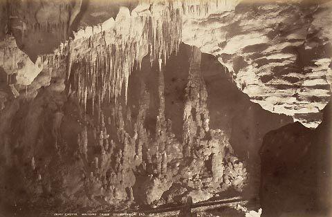 Fairy Grotto, Waitomo Caves, Otorohanga