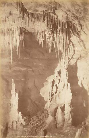 Fairy Grotto, Waitomo Caves, Otorohanga