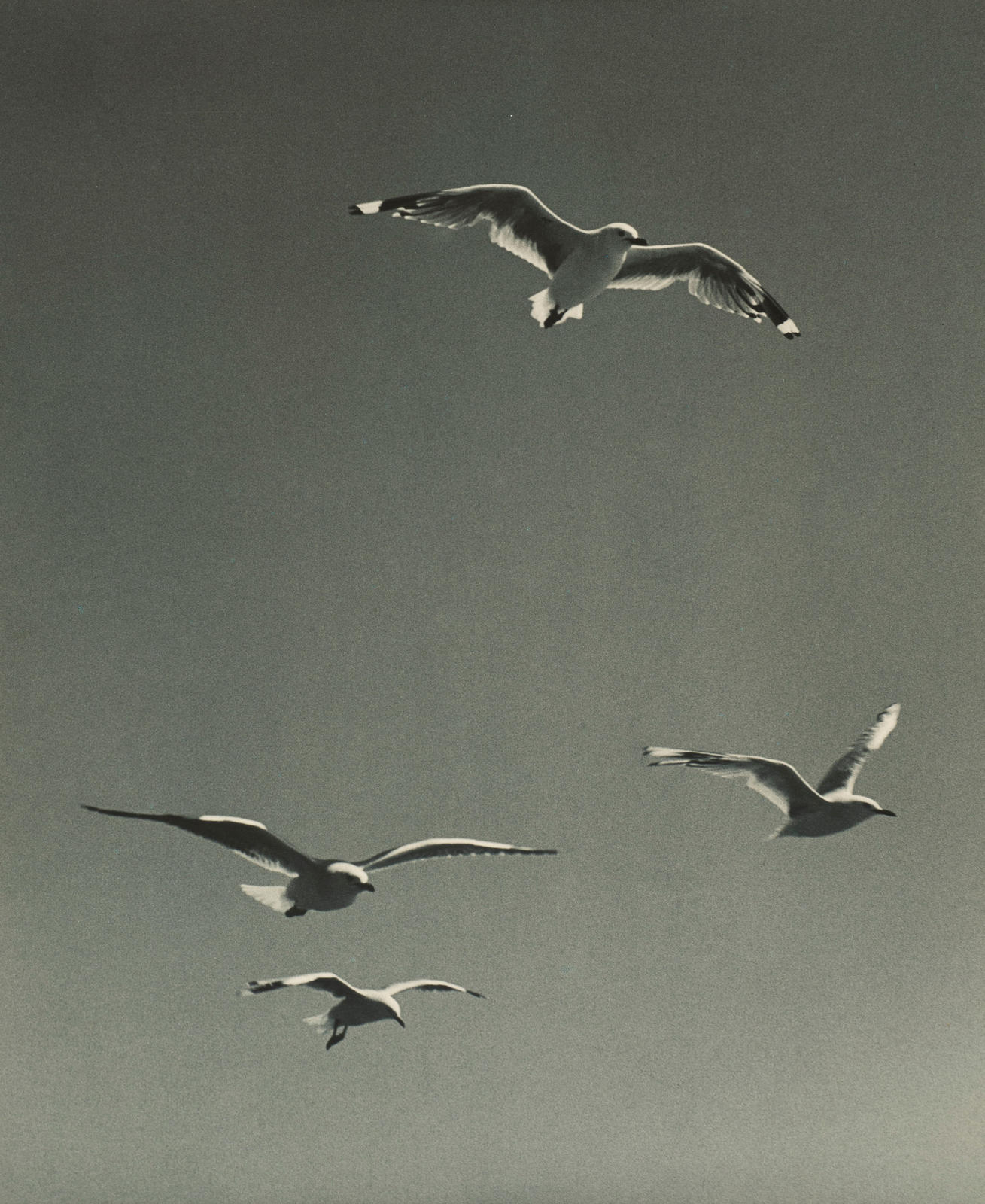 Flight