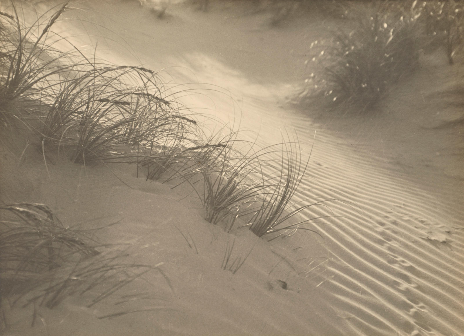 Sunshine and sand