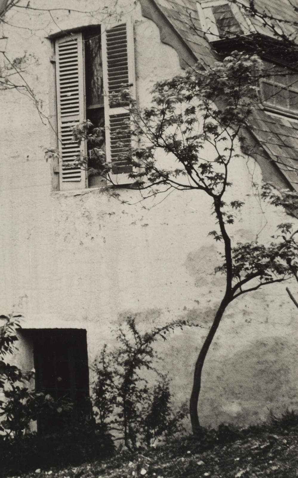 The cottage wall