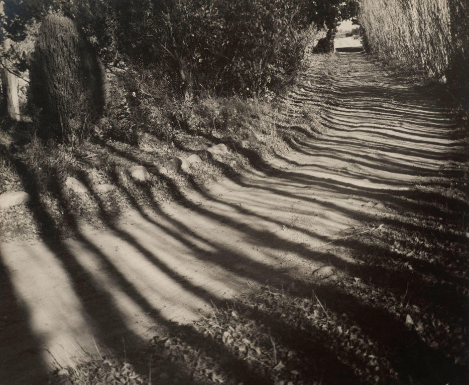 Pathway and shadows