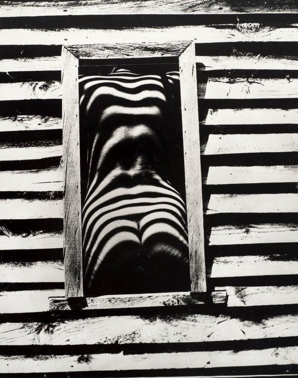Straight lines and curves
