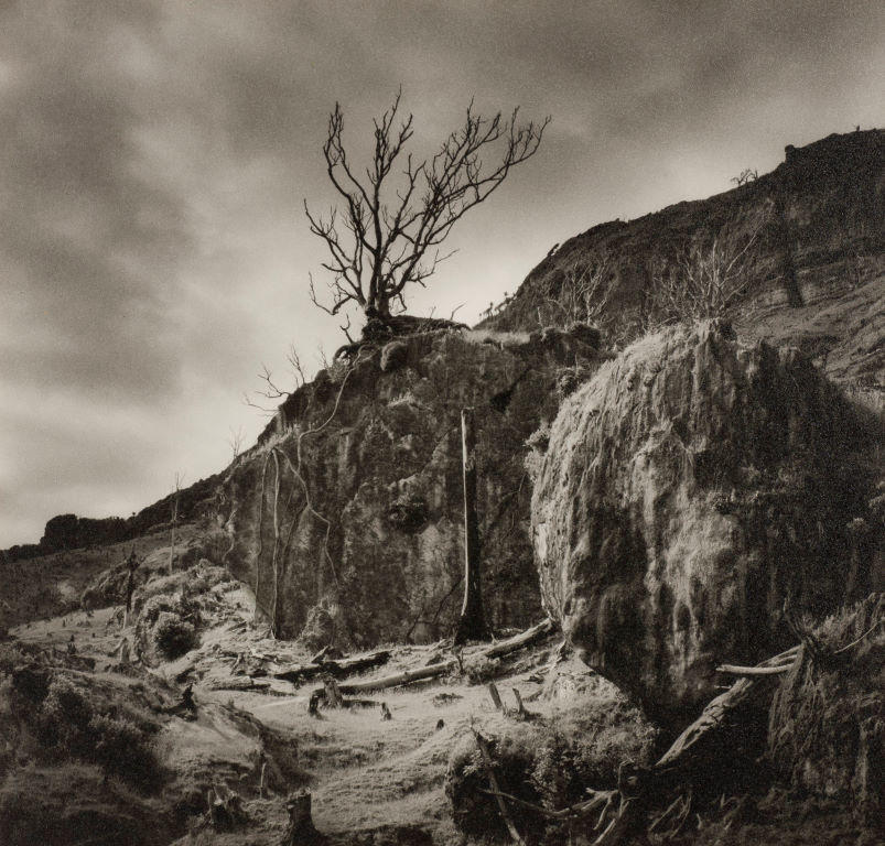 Rocks with dead debris and stumps