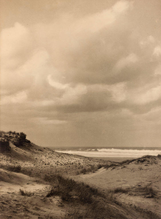 Through the dunes to the sea