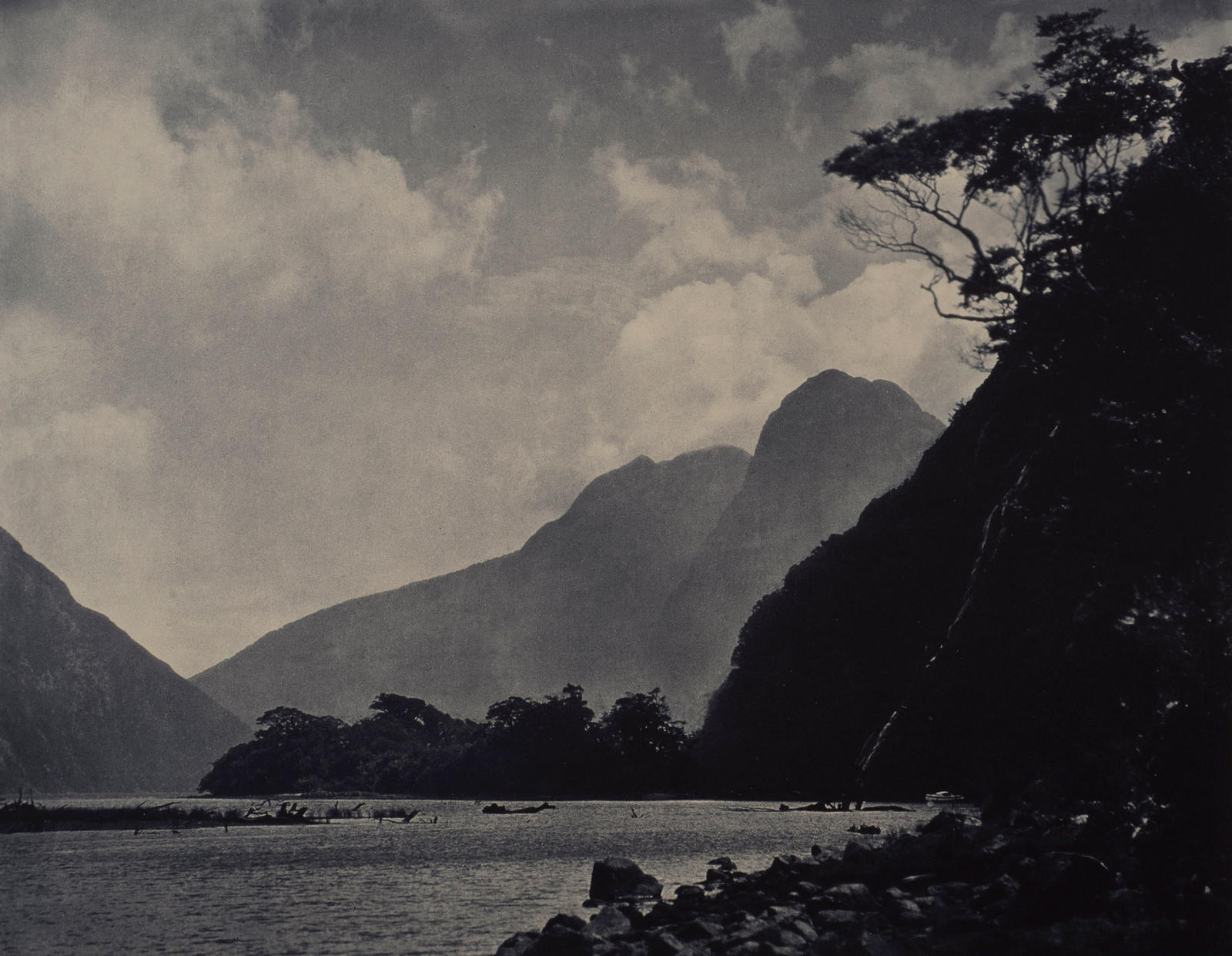 In Milford Sound