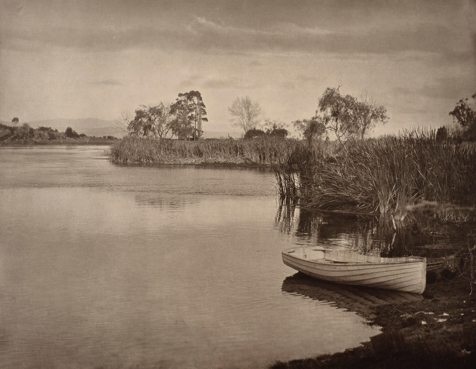 The fringe of the lake