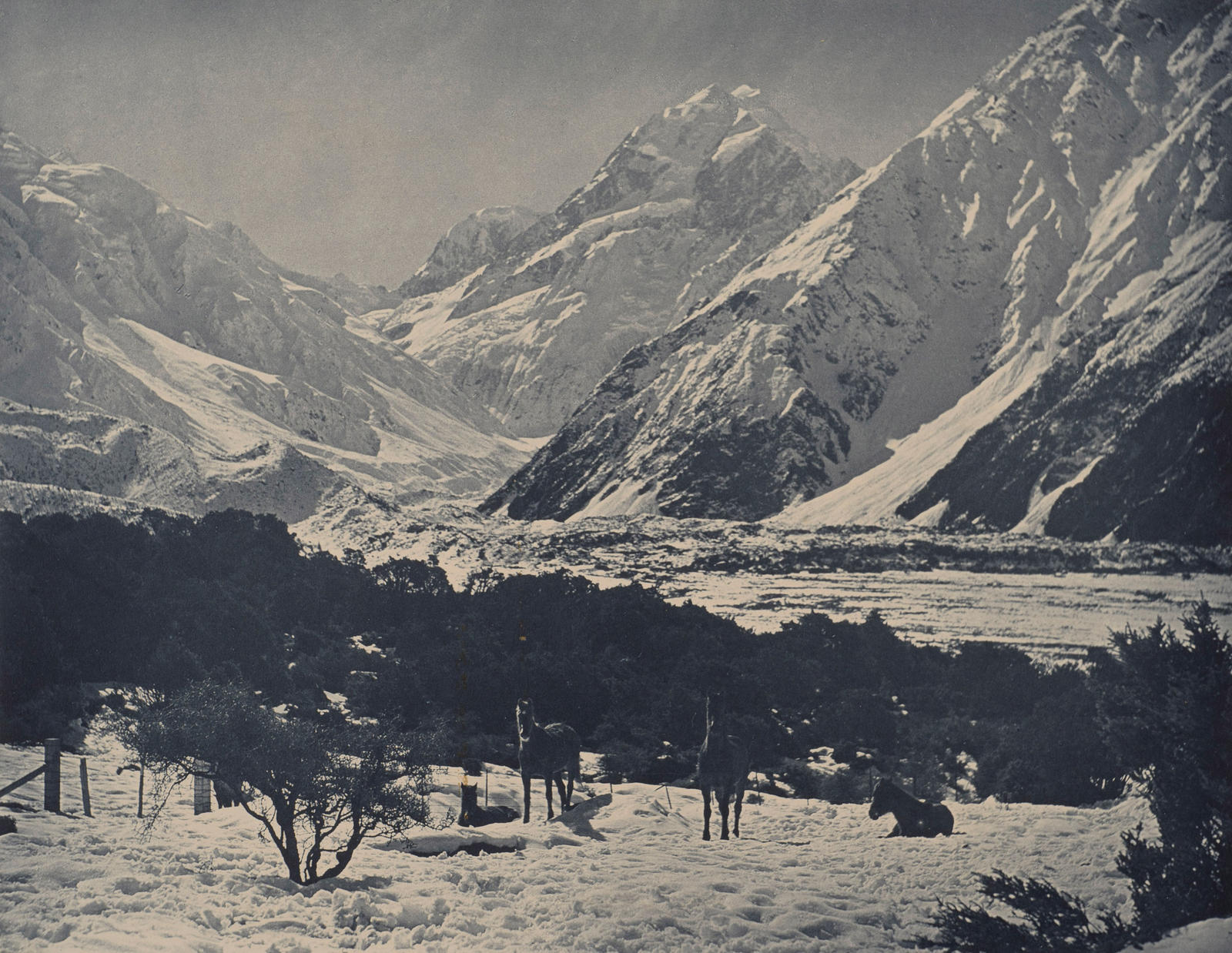 Mt Cook from the Hermitage
