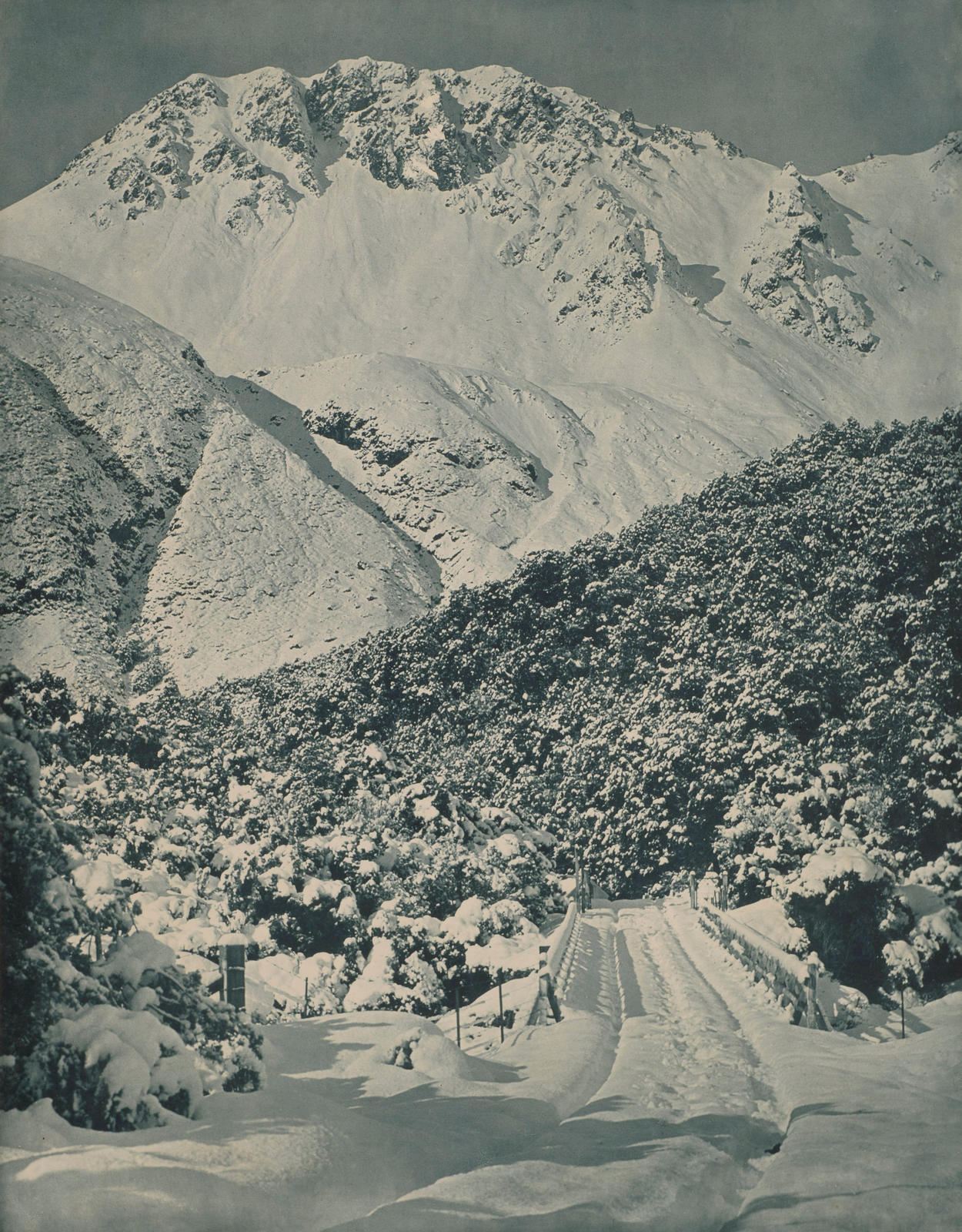 Mount Sebastapol, Mount Cook District