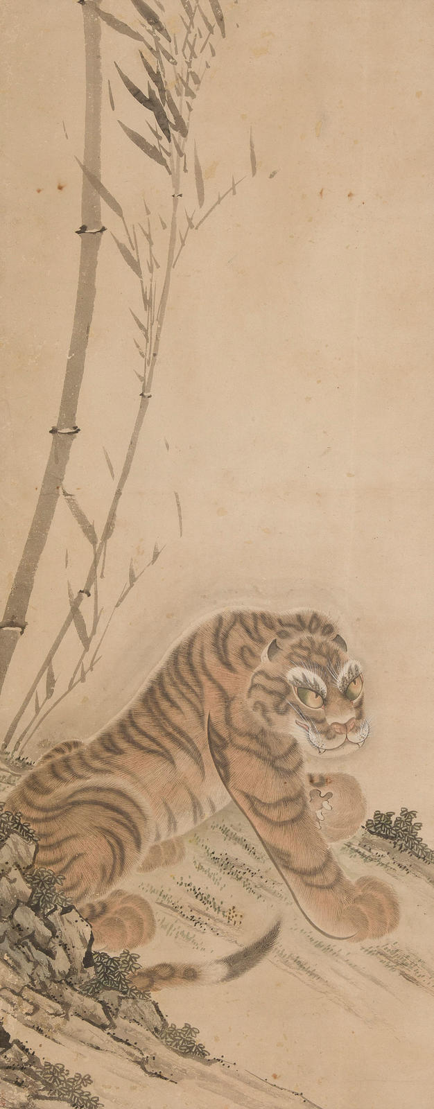 Tiger in Bamboo