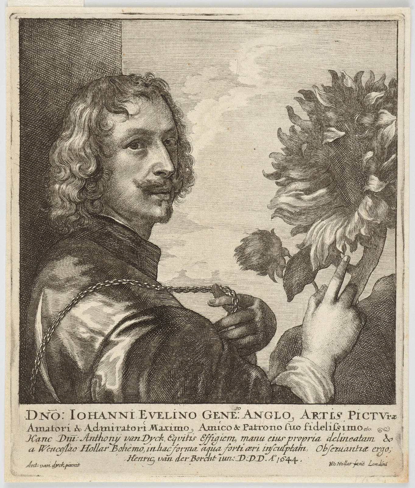 Sir Anthony van Dyck with a Sunflower