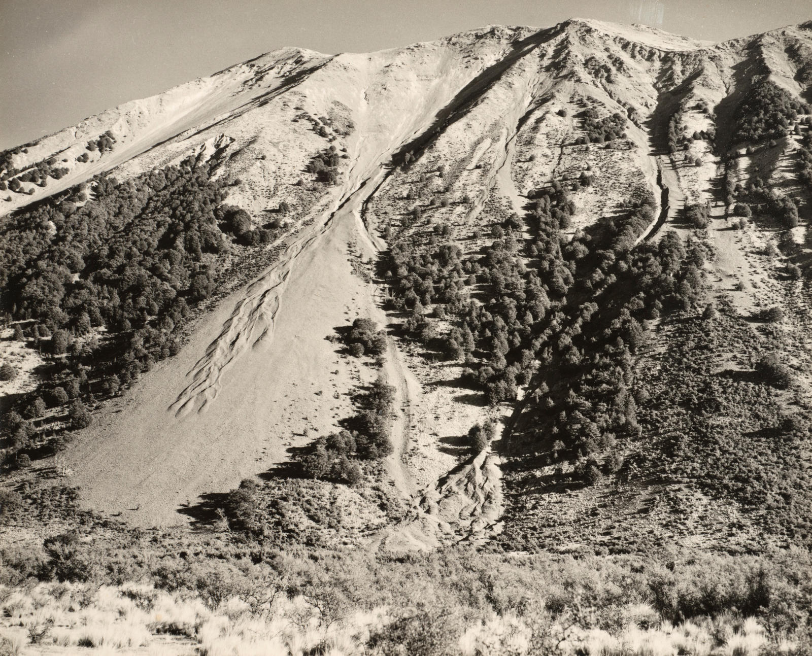 Erosion, Harper-Avoca Forest, Canterbury