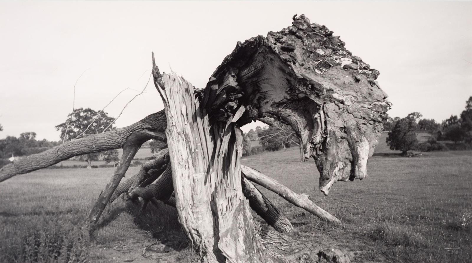 ‘Monster Field’, Carswall’s Farm, Newent, Gloucestershire