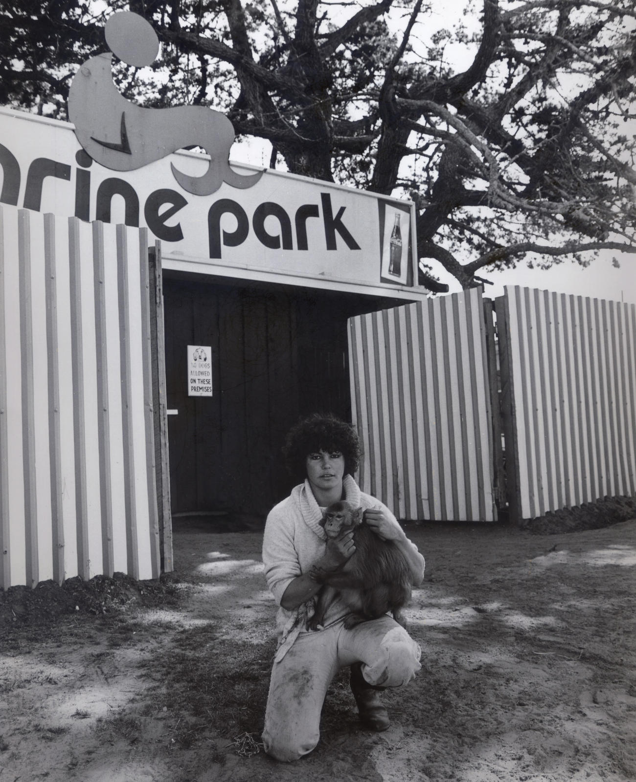 The Hibiscus Coast Project, Residents: Leonie Horobin, Orewa