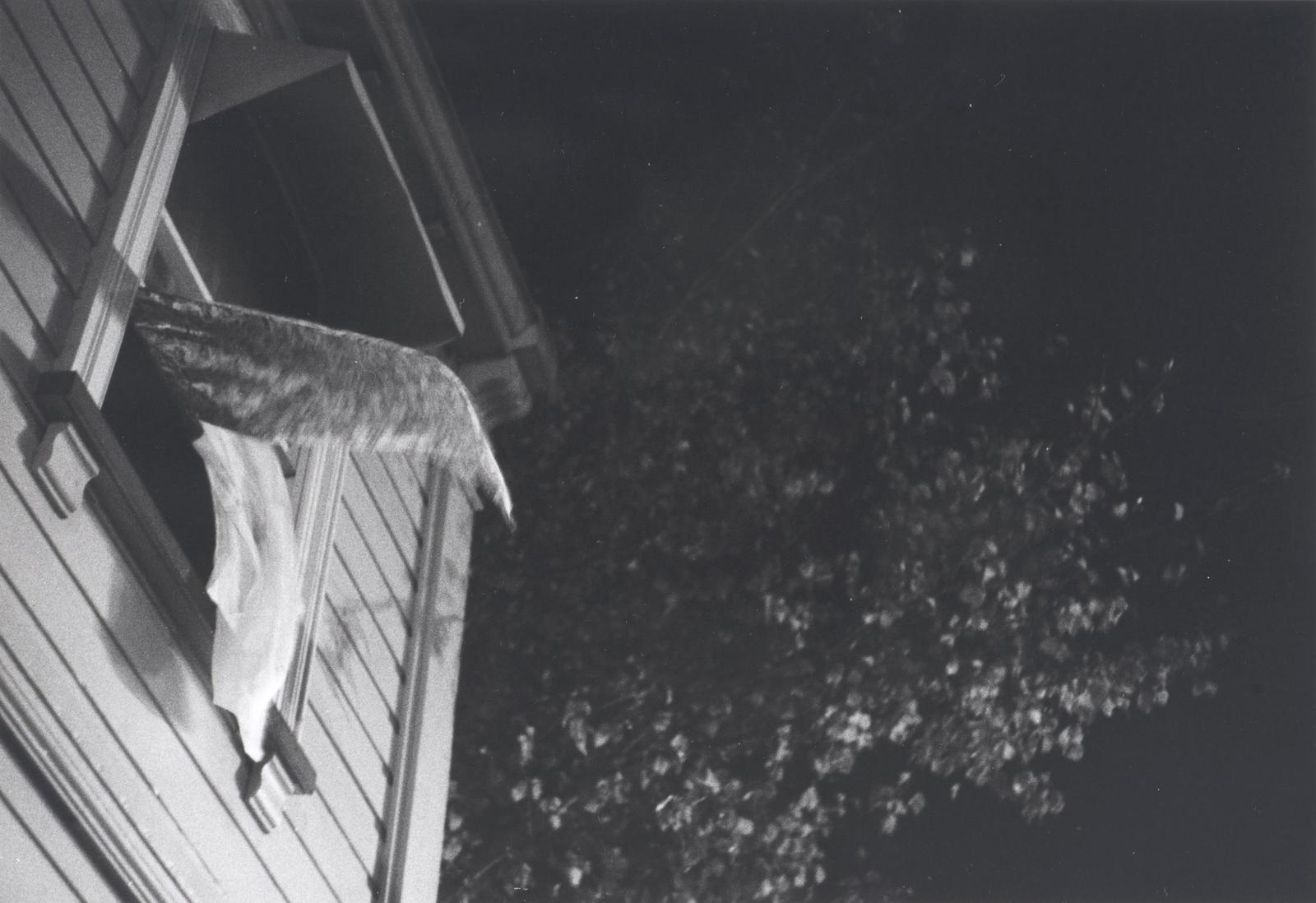 Night, Parnell