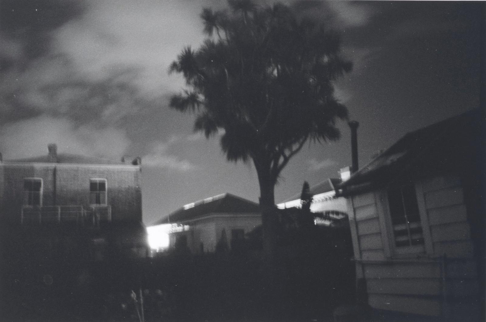 Night Out, Auckland
