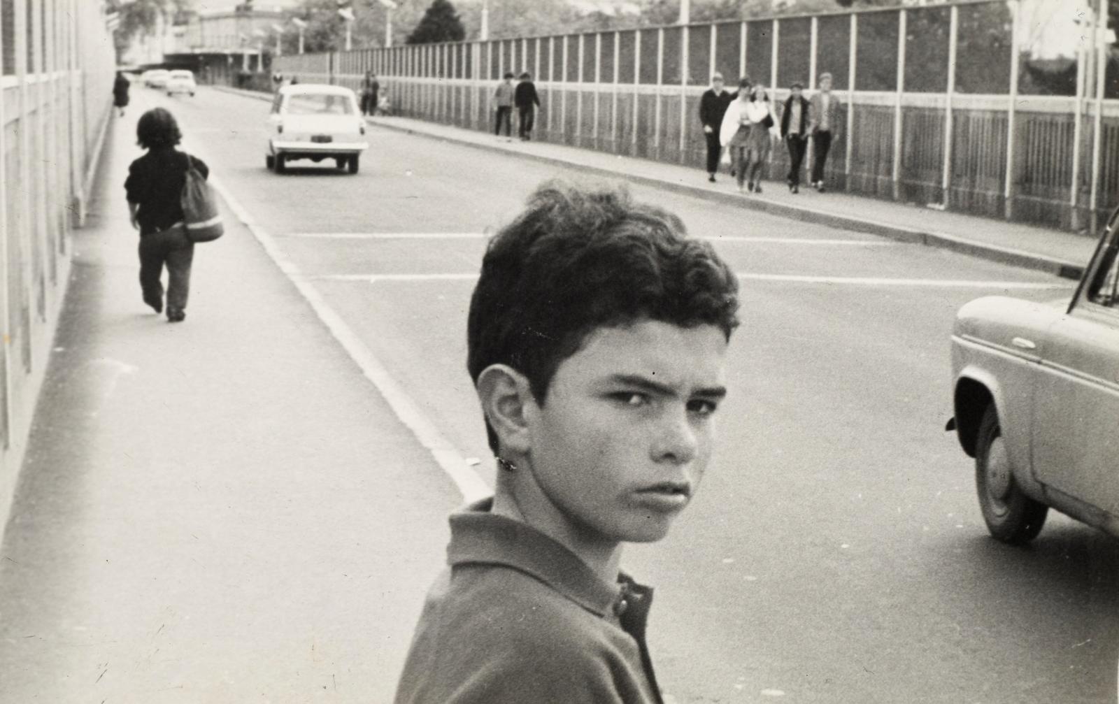 Stumpy and boy on the Grafton Bridge