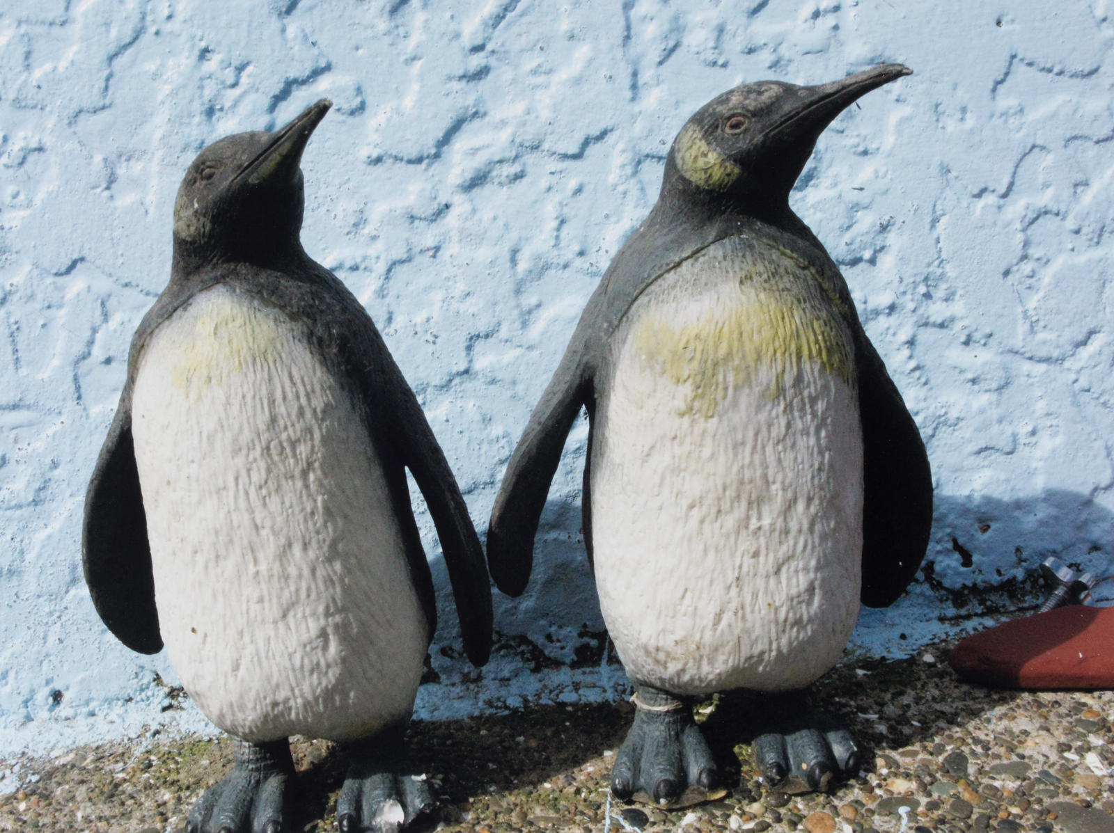 Penguins