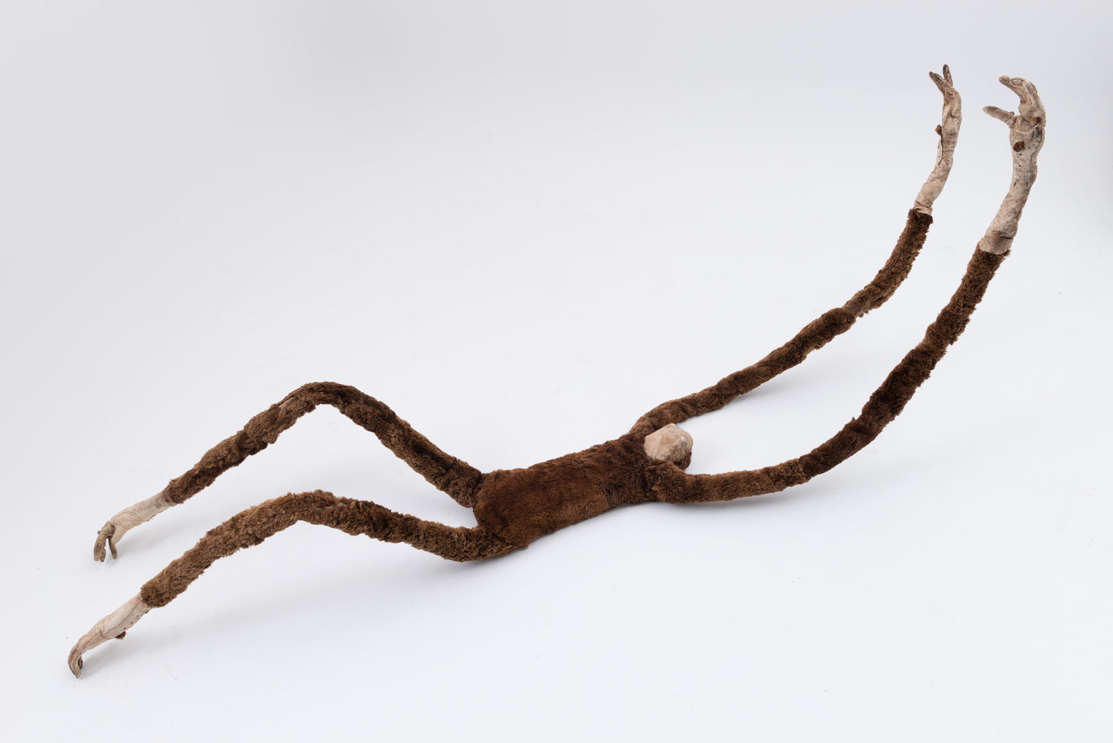 Brown Sloth Creature